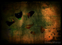 465625788_10223800198827106_2505955237700688674_n