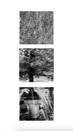 010Звідки Росте Твоє Коріння