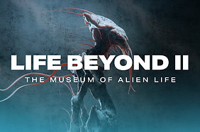 LIFE BEYOND II.jpg