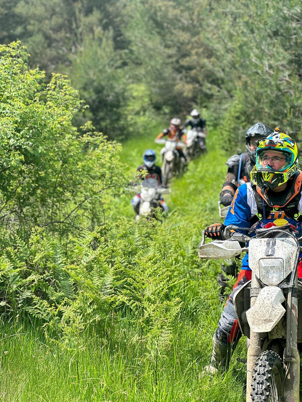 Eye-level view of a dirt trail winding through dense green forest in Devin