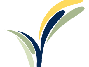 Getting to Know Your Community Foundation