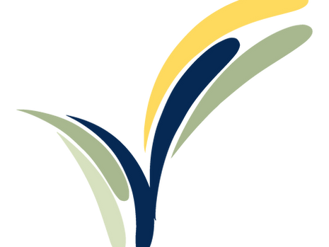 Getting to Know Your Community Foundation