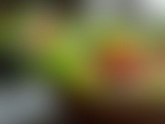 Unlocking the Secrets to a Longer Life: Exploring the 4 Pillars of Longevity