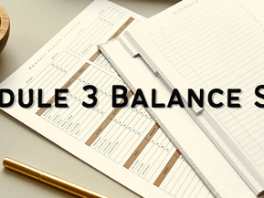 Download Schedule 3 Balance Sheet