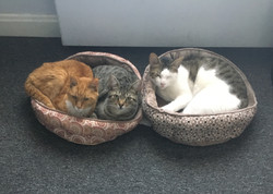 Hard work deserves a nap!
