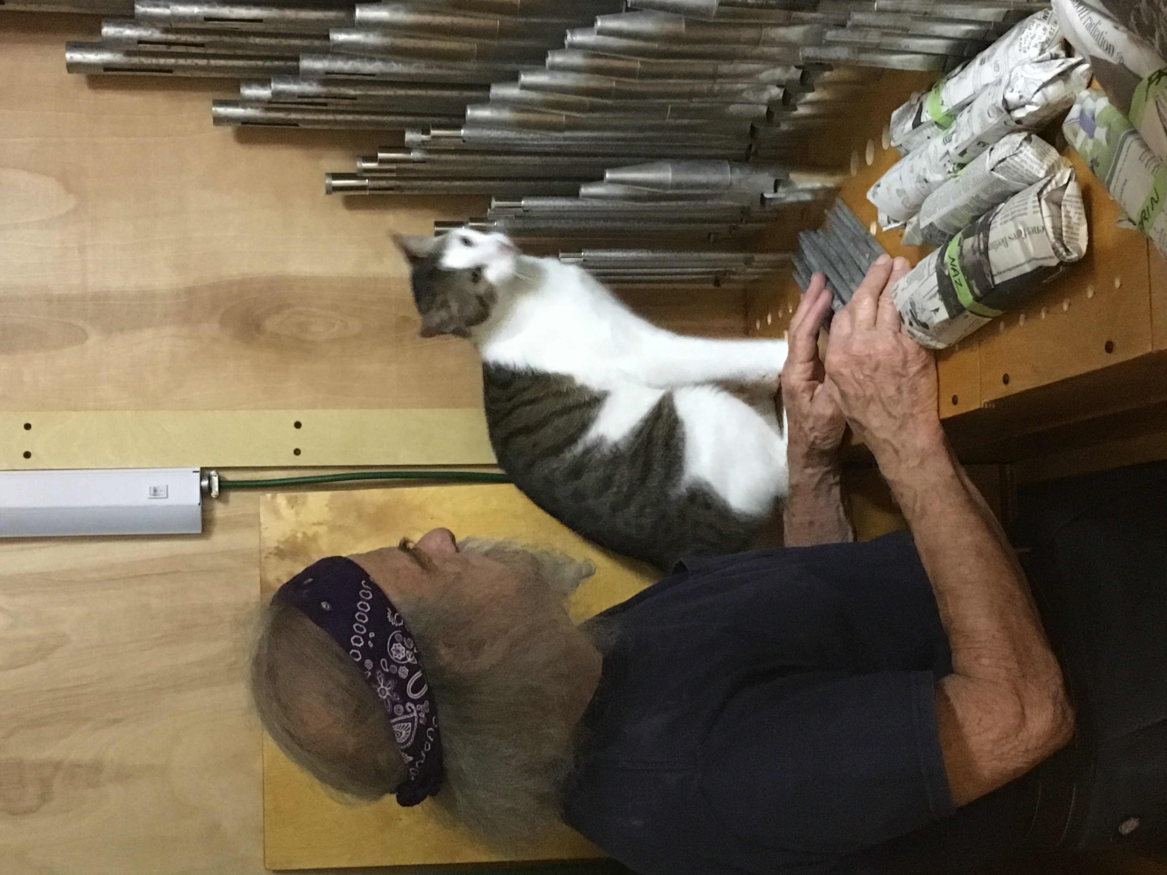 George consults Purrcy