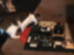 Purrcy inspects the chamber controls