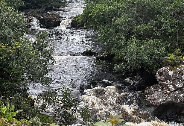 River View