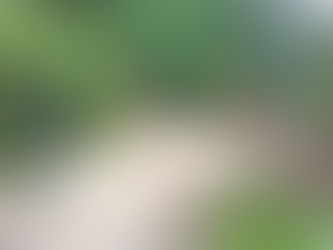 DIRECCIÓN DE SERVICIOS DE LA ALCALDÍA DE ZEA SE DESPLIEGA EN TODO EL MUNICIPIO PARA ATENDER EMERGENCIAS POR LLUVIAS