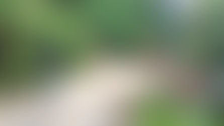 DIRECCIÓN DE SERVICIOS DE LA ALCALDÍA DE ZEA SE DESPLIEGA EN TODO EL MUNICIPIO PARA ATENDER EMERGENCIAS POR LLUVIAS