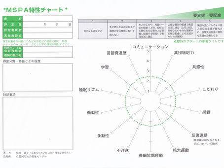 子どもたちの評価①(MSPA:発達障がいの要支援度評価尺度)