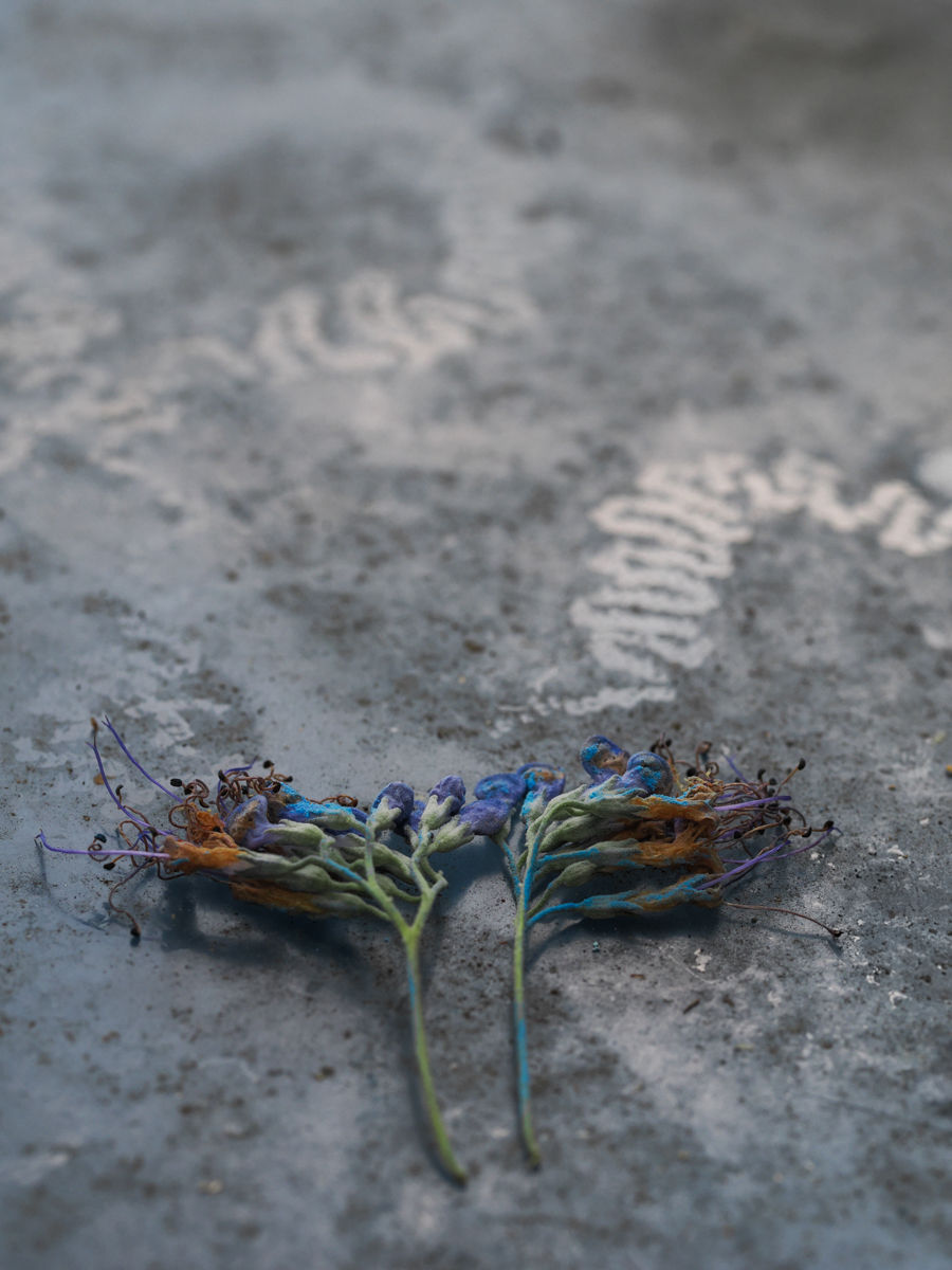 AAP-Portfolio-Markese12