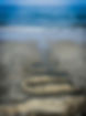 Beach-JellyTrap.jpg