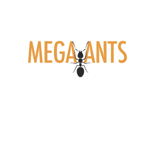 Black White Minimalist CV Resume (Logo) (10).png