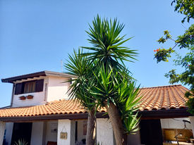 Casa Cielo 