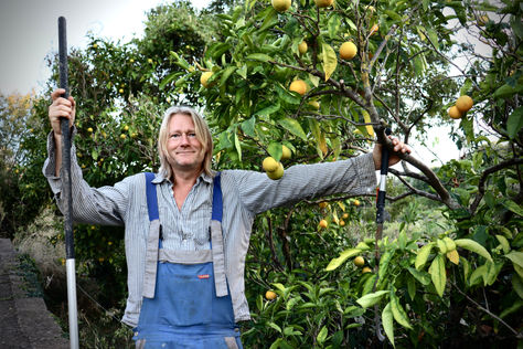 Baumpatenschaft wieder verfügbar