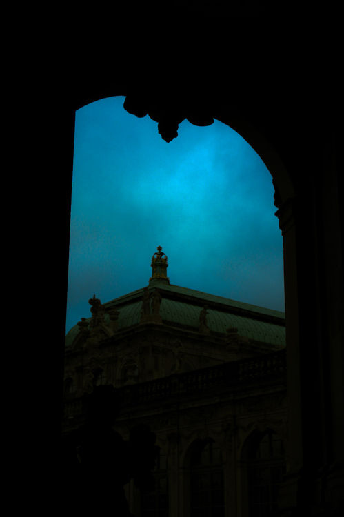 Silhouettes in the Blue 7