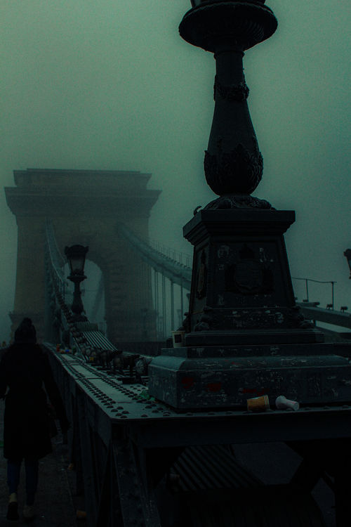 Fog on Bridge 2