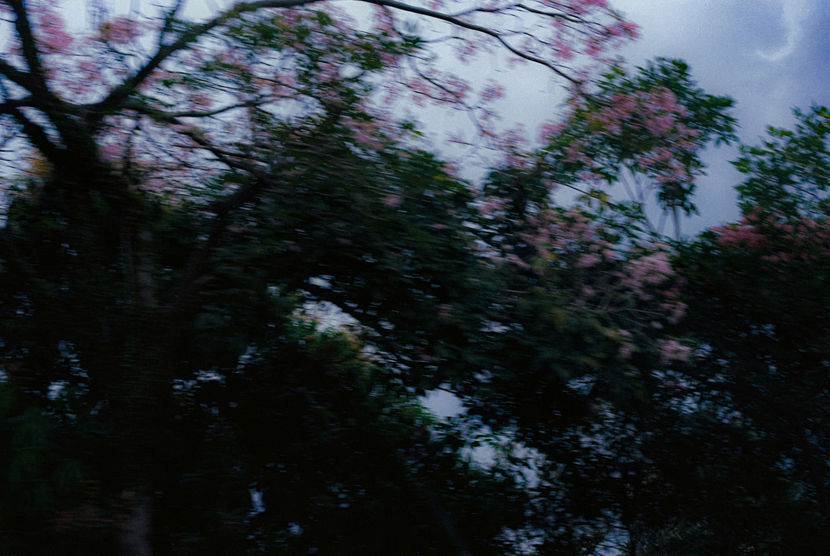 A001302-R1-23-28.JPG