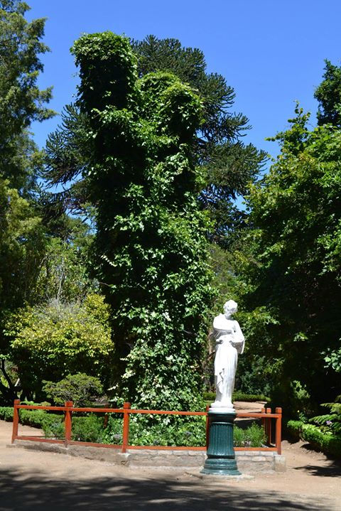 Facebook - Parque Cousiño