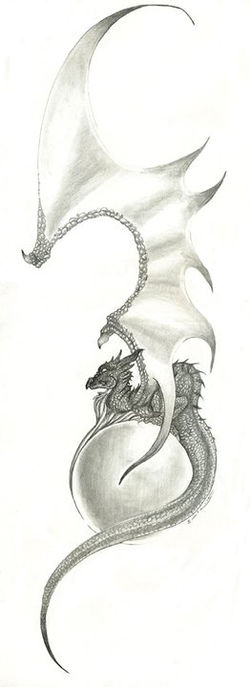 Dragonis Similaris