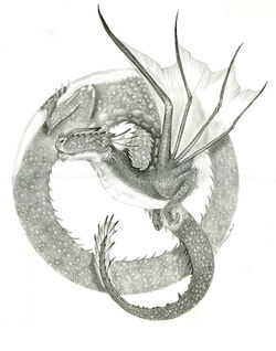 Gom 2