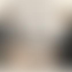 US expat meeting with financial adviser