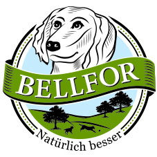 bellfor_logo(1).jpg