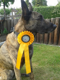 3idefix