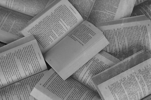 If it was possible, I would plant a book like wheat on every inch of land_edited.jpg