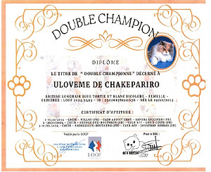 Double Championne ULOVEME.jpg