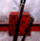 Le secret des glaces