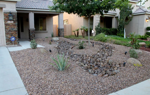Tempe AZ home with decorative rock, accent lighting, and low-maintenance plants.
