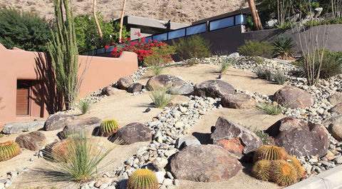 Arizona xeriscape front yard in Paradise Valley with barrel cactus, gravel, and accent rocks.