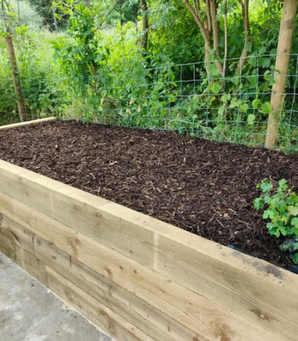 flower beds with plants