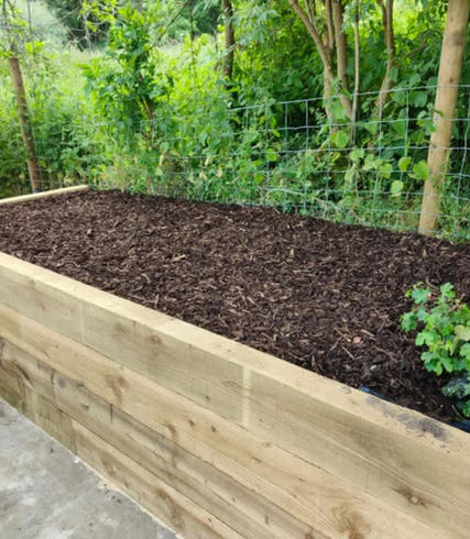 flower beds with plants