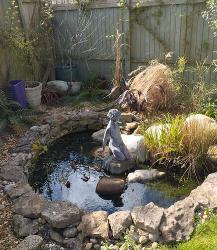 pond inside garden
