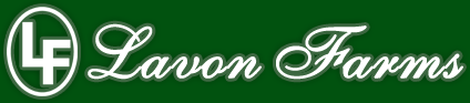lavon-bottom.gif