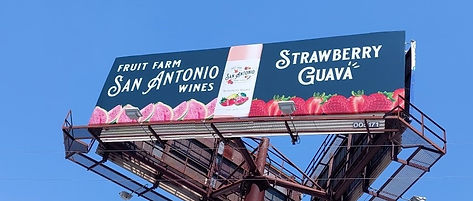 Billboard 5171 Close Up POP - San Antonio, TX - RN.jpg