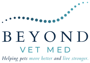 Beyond Vet Med_dark.png