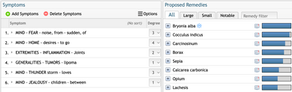 A Peek Inside the Art of Repertorization