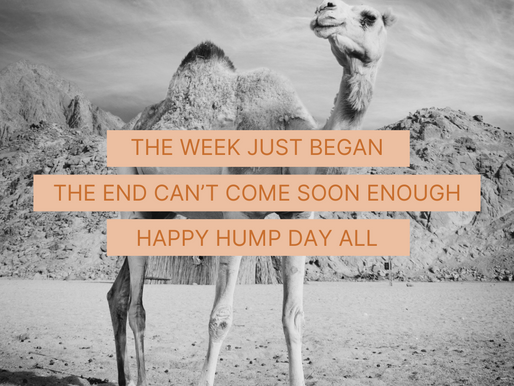 Happy Hump Day