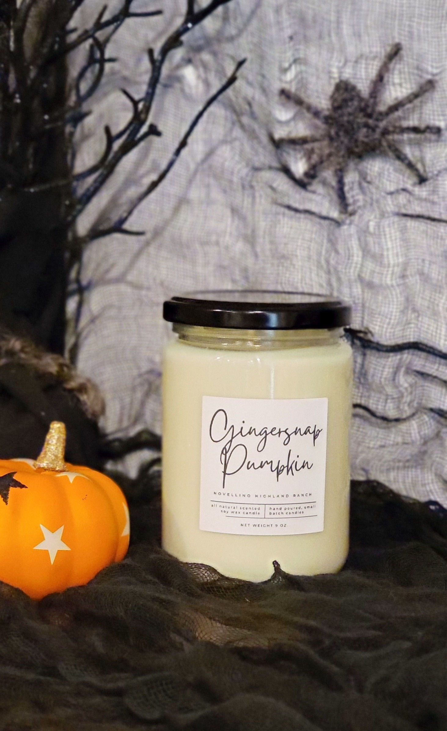 Gingersnap Pumpkin 12 Oz. Soy Candle
