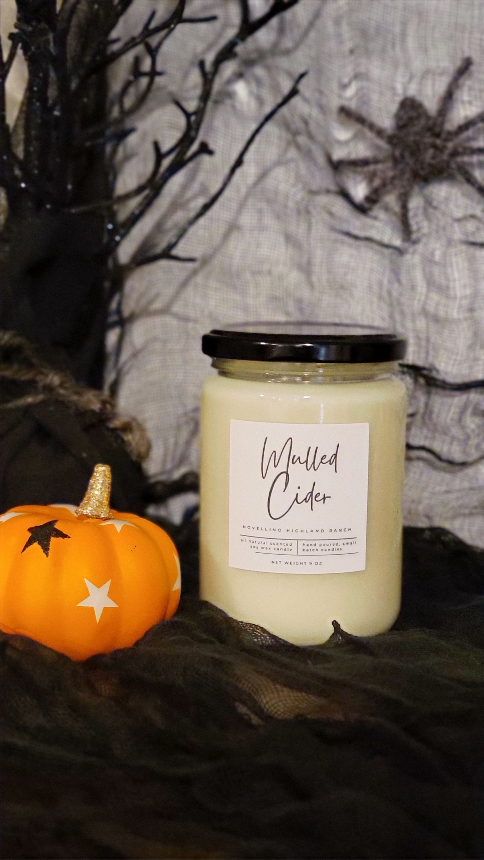 Mulled Cider 12 Oz. Soy Candle