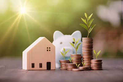 istockphoto-1395178679-612x612.jpg