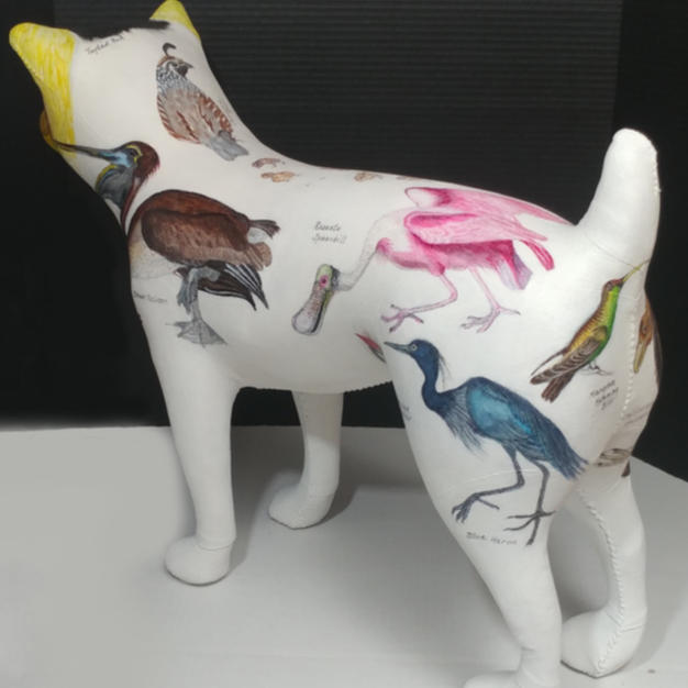 Bird Dog