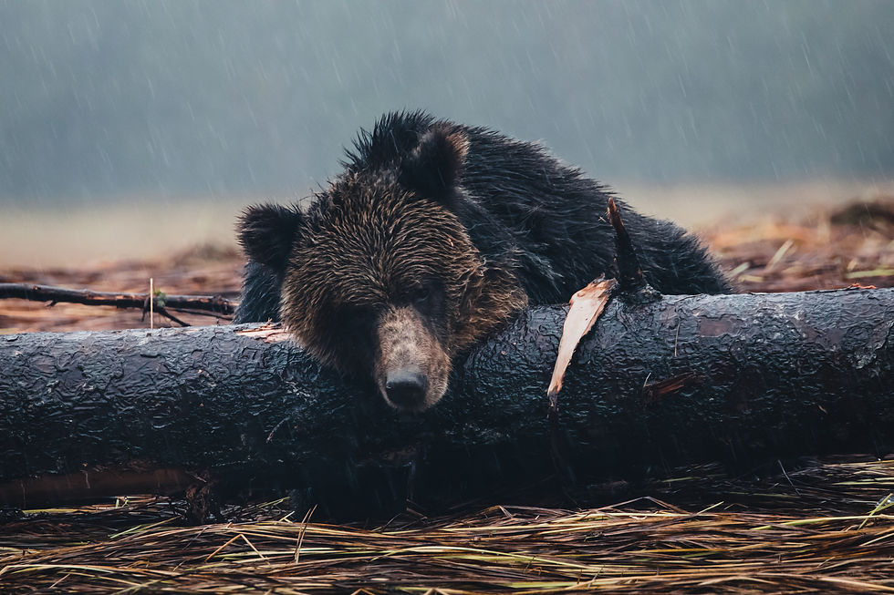 Photo by Simon Ager Photography