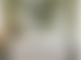 Bathroom Colour Trends in 2025: Embracing Green