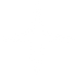 white Star .png