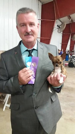 Chihuahua Puppy, Chihuahua Breeder, New York Chihuahua Breeder, Champion Chihuahuas, Health Tested Chihuahuas, Tiny Chihuahuas, Chihuahuas in NYC, Chihuahuas in MA, Long coat chihuahuas, Smooth coat chihuahuas, Chihuahuas in CT